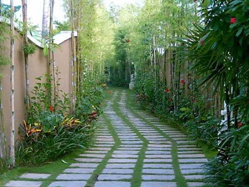 Bali Emerald